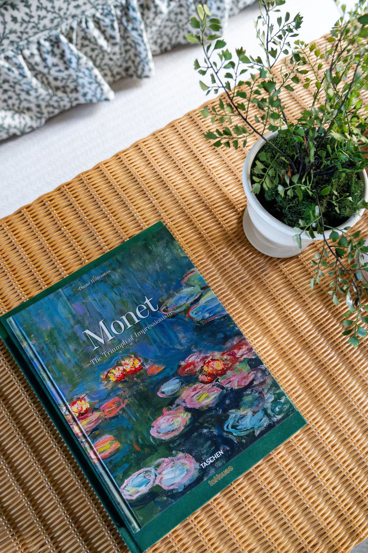 Coffee table styled with an art book and potted greenery on a rattan tray